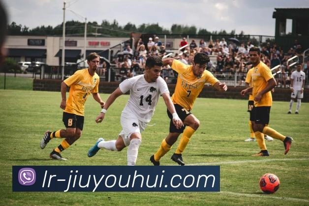 九游会官网官网平台生态图